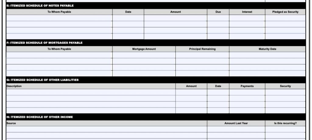 REBNY Financial Statement Template Instructions (2025) REBNY Financial Statement Template Instructions (2025)