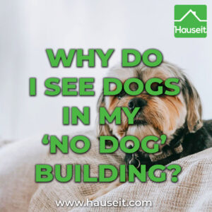 Many people specifically seek residency in pet-free buildings for a variety of reasons. So how can there be dogs in a no pet building?