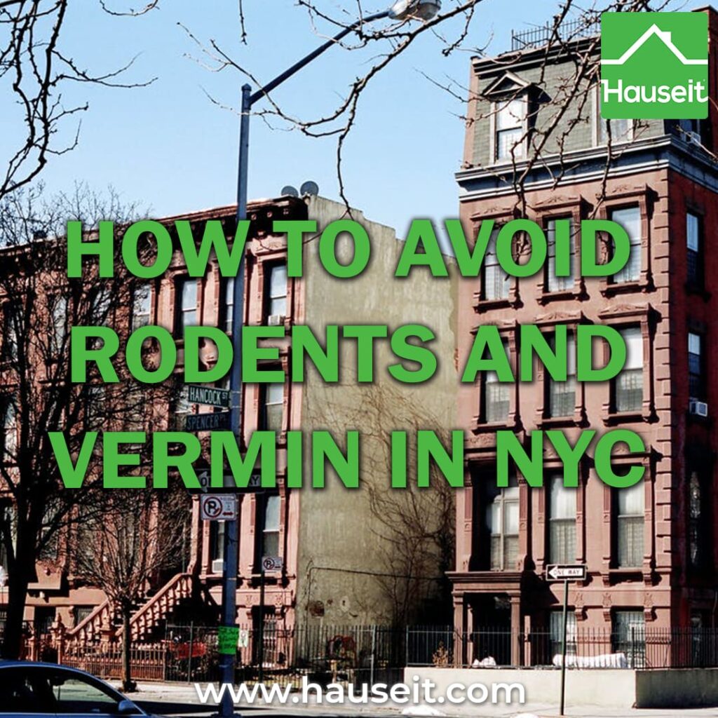 Rodents and vermin are an unavoidable reality of living in NYC, but you can reduce the odds of an infestation by picking the right apartment.